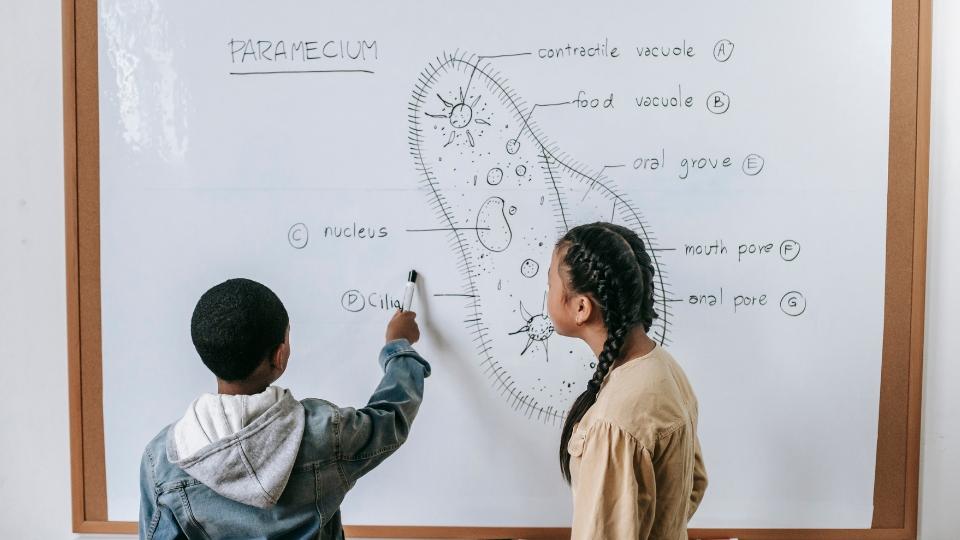 Ilustrasi anak yang sedang mengerjakan soal di papan tulis Dari Siapa Kecerdasan Anak Diturunkan?