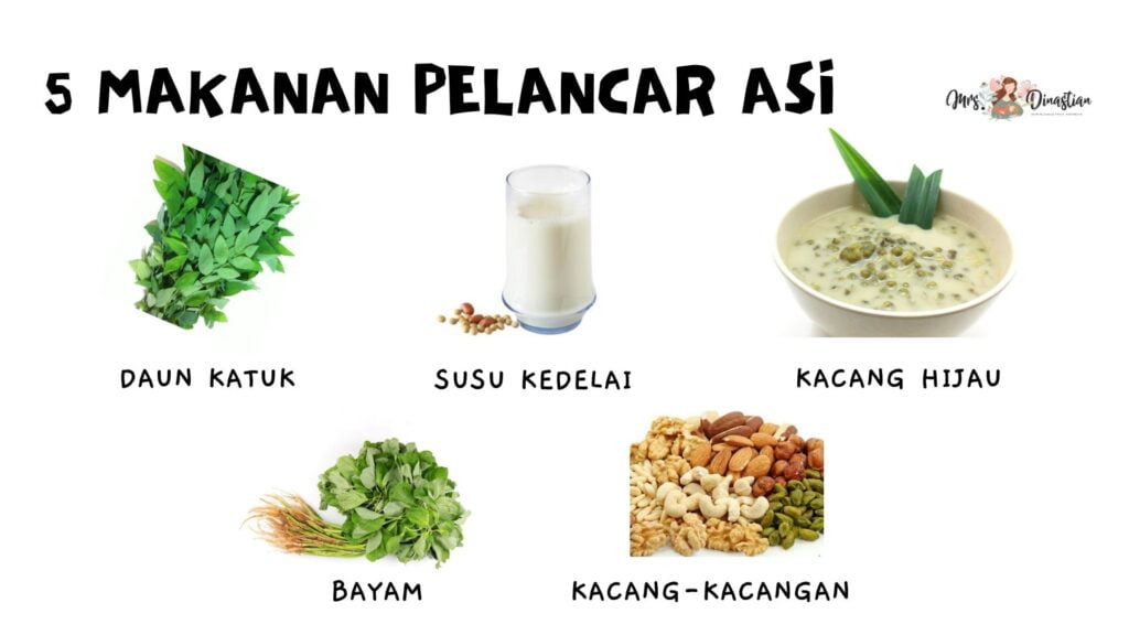 makanan pelancar asi
